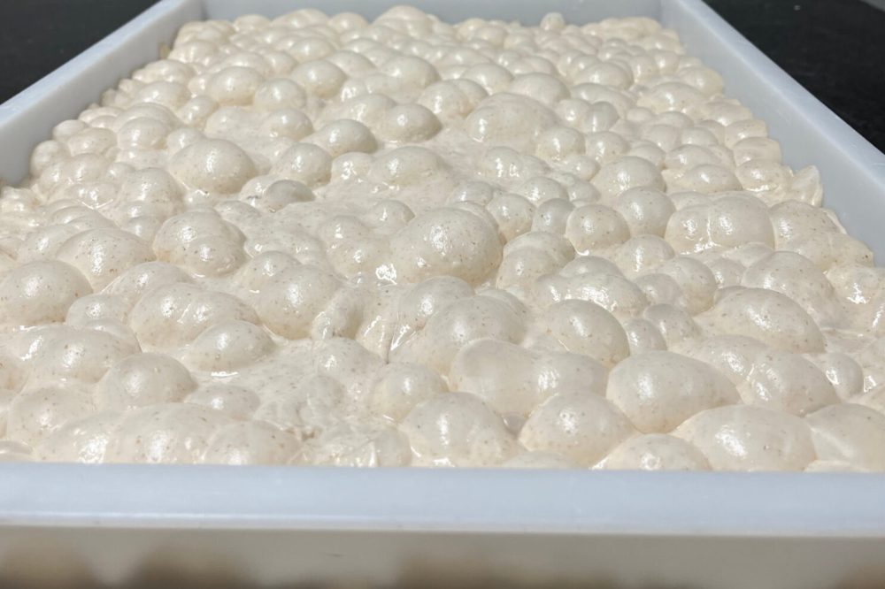 contemporanea dough
